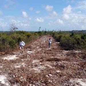 Site East View